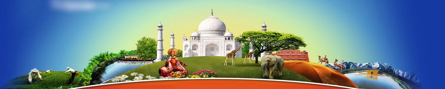 Domestic Tour Packages International Tour Packages Tour Packages 